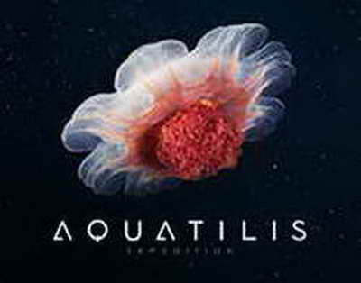 Түнде жанатын өсімдік