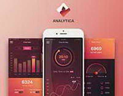 Побег из мясной лавки: история семи собак собрала 230 миллионов просмотров